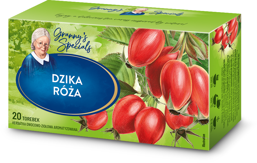 Dzika róża